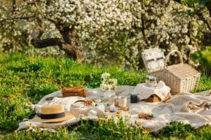 picnic lunch ideas